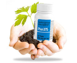 Phen 375 06