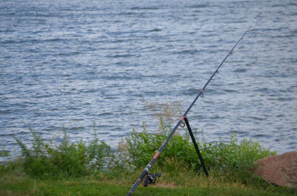 fishing rod